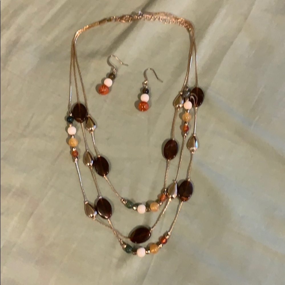 Pretty necklace And earring set.